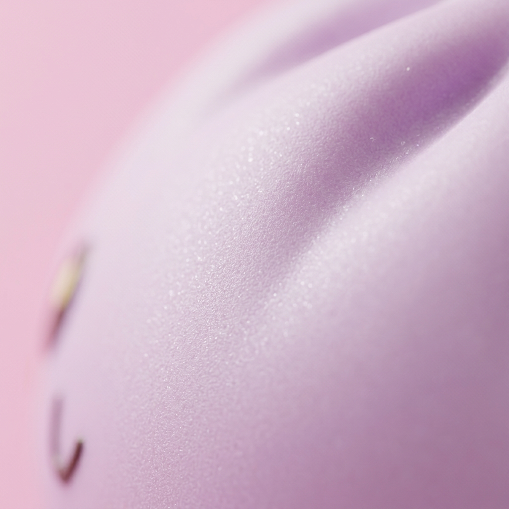 Dumpling Squishy Gris Magenta — gros plan macro sur la texture