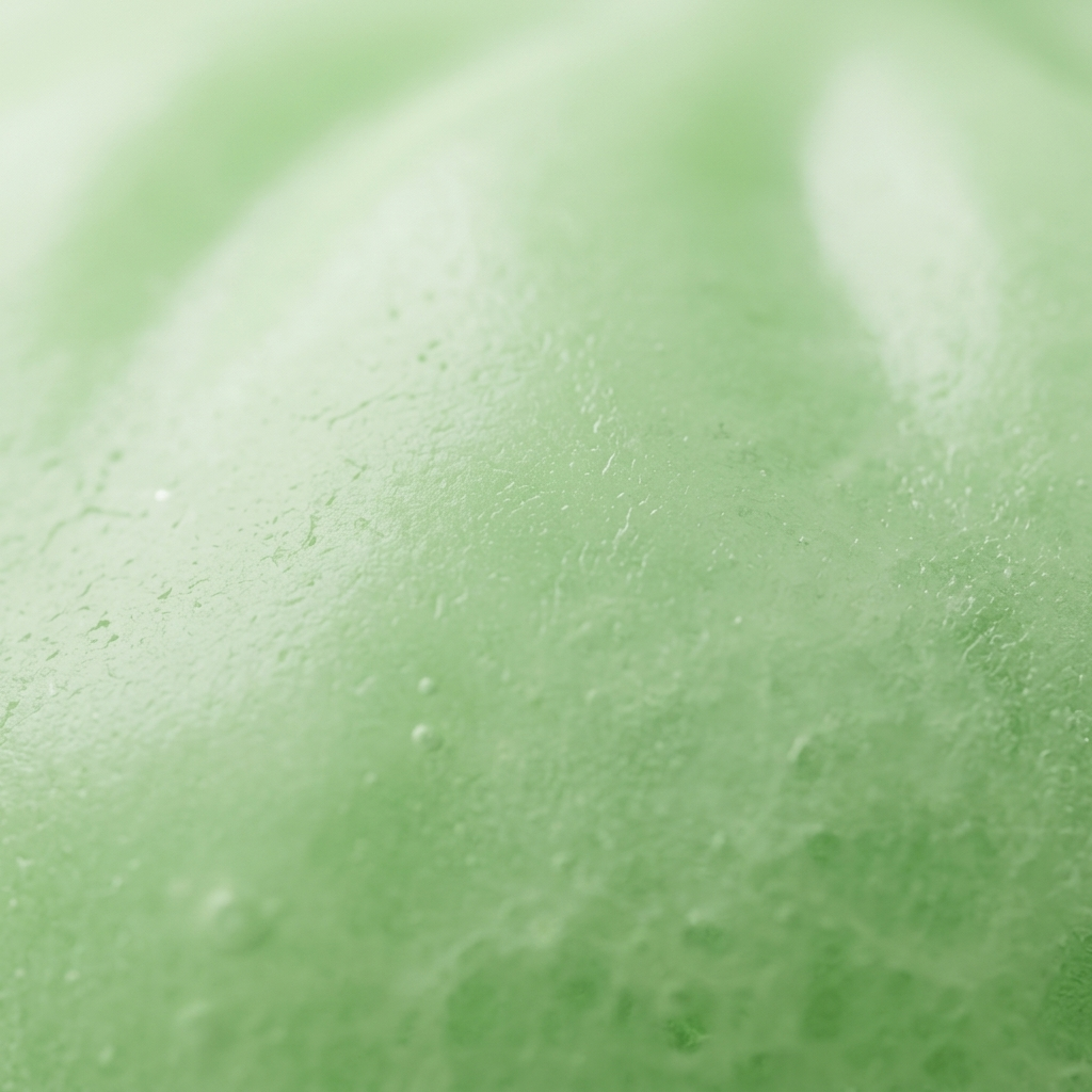 Dumpling Squishy Vert Frais Nature — gros plan macro sur la texture