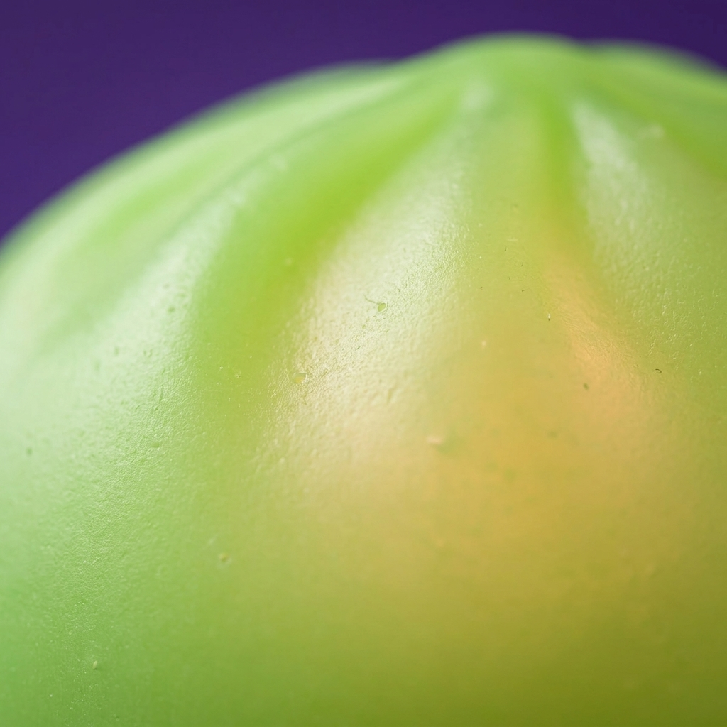 Veilleuse Dumpling Squishy Verte Lumineuse — gros plan macro sur la texture