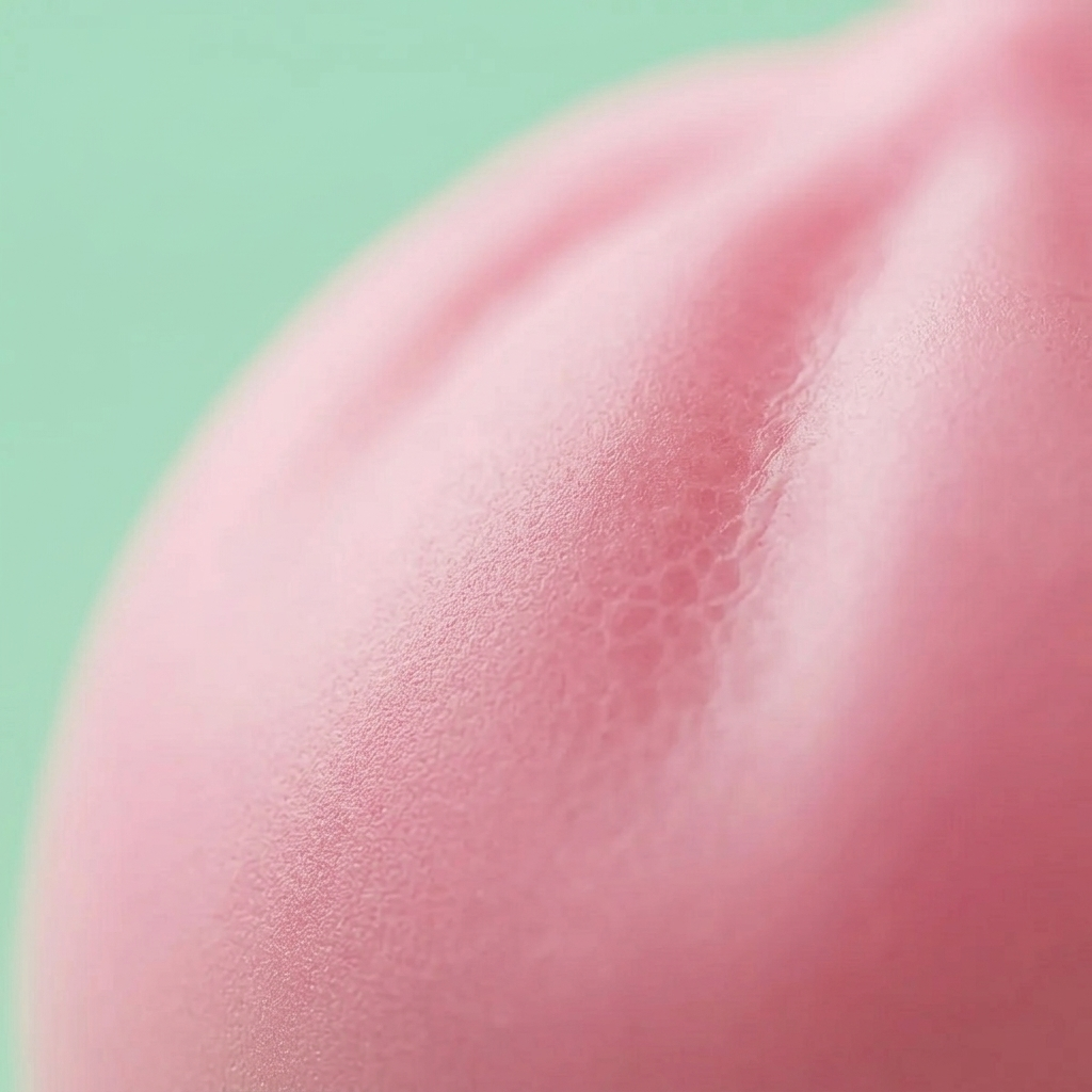 Dumpling Squishy Rose Moelleux Doux — gros plan macro sur la texture