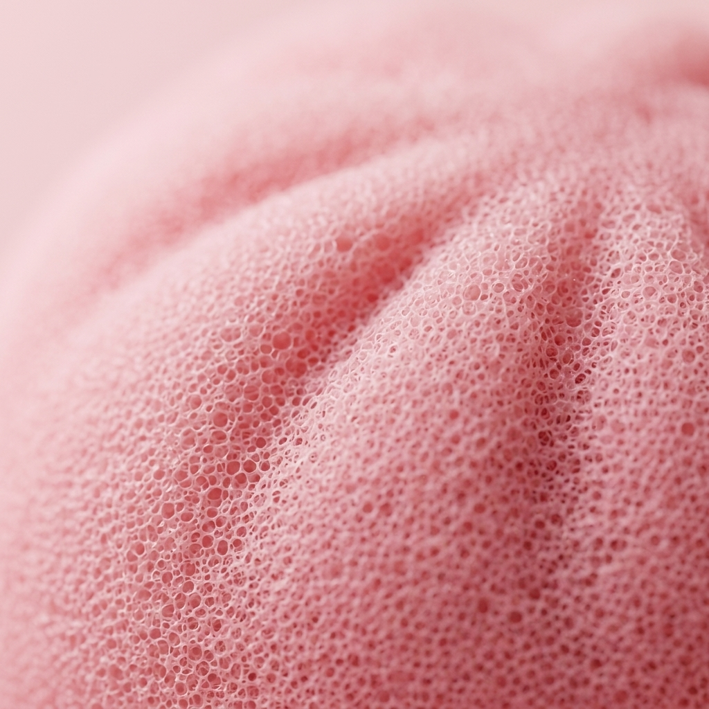 Pink Squishy Dumpling Fleur Douceur — gros plan macro sur la texture