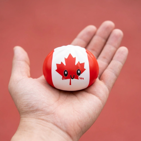 Squishy Dumpling Canada tenu en main, taille réelle