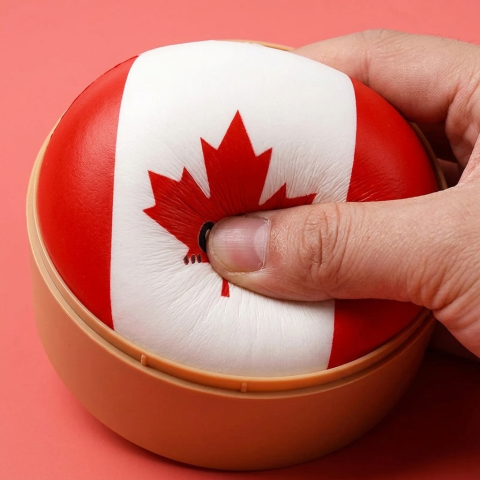 Squishy Dumpling Canada — effet slow-rise, la mousse regonfle