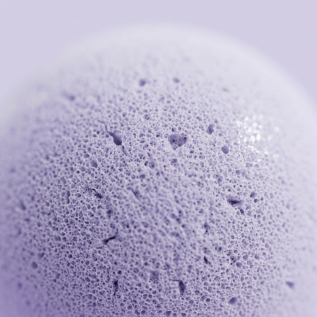 Dumpling Squishy Mystery Peluche Surprise — gros plan macro sur la texture